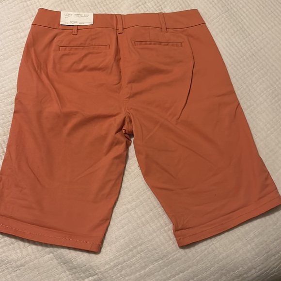 LOFT Bermuda Roll Shorts Size 10p NWT - Picture 2 of 3